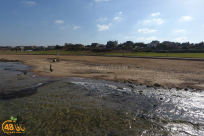 حالة الطقس : استمرار تأثير الموجة الحارة على البلاد